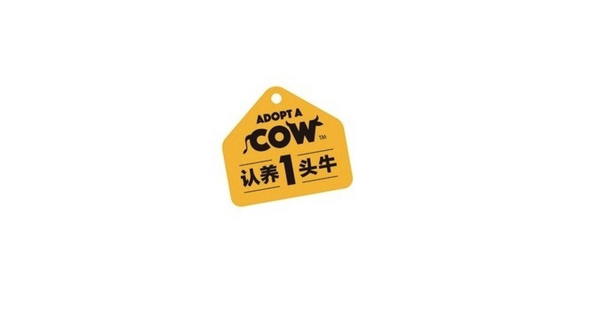 德冉巴商务咨询